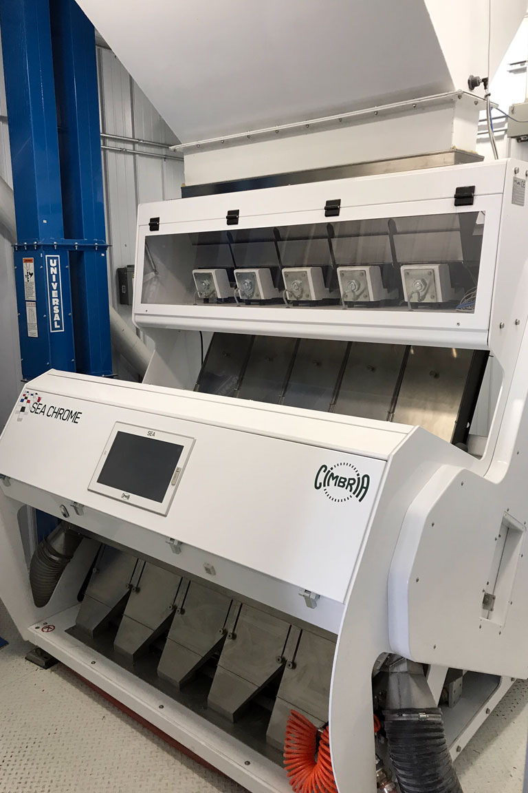 Color Sorter