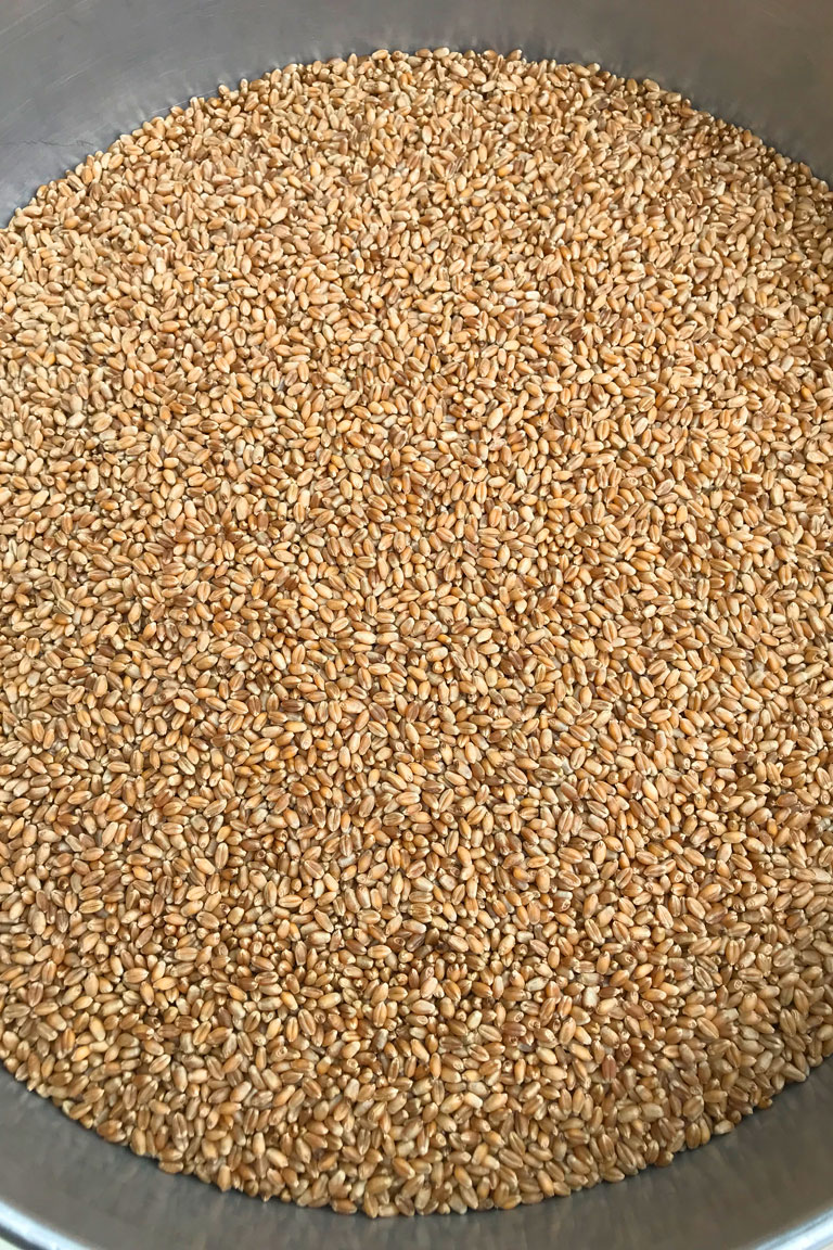 Seed sales